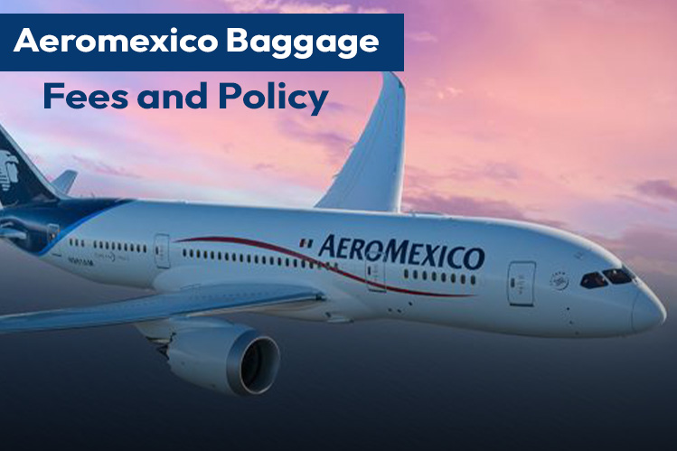 Aeromexico Baggage Fees and Policy Image