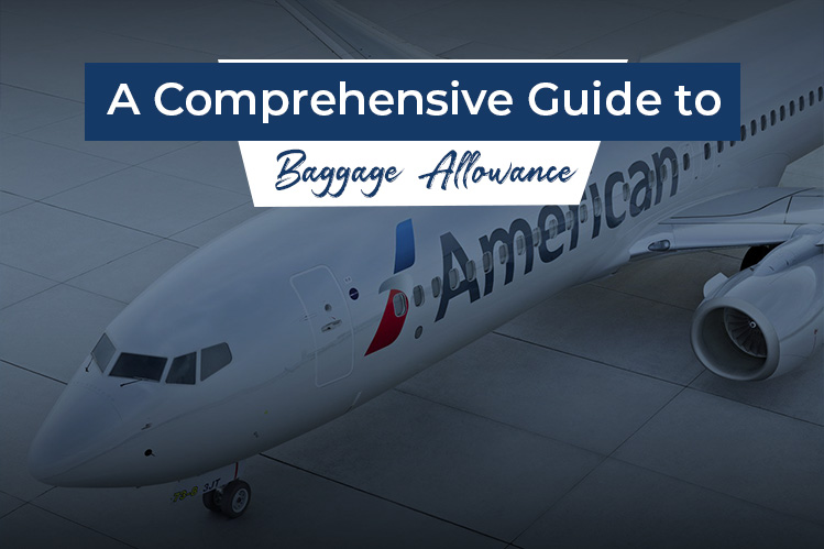 A Comprehensive Guide to American Airlines Baggage Allowance Image