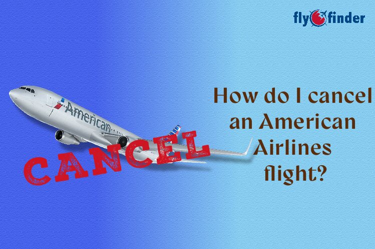 How to Cancel a Flight on American Airlines? Image