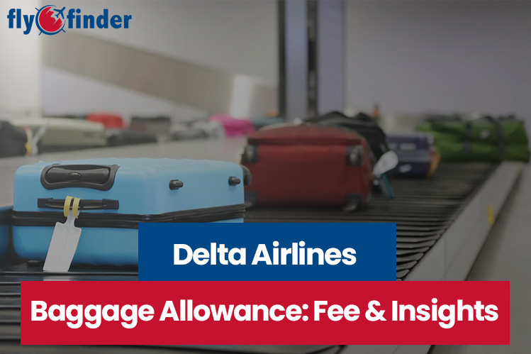 Delta Airlines Baggage Policy Fees Allowance and Tips