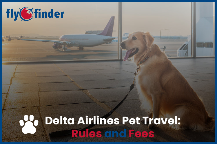 Delta Airlines Pet Travel Policy Image