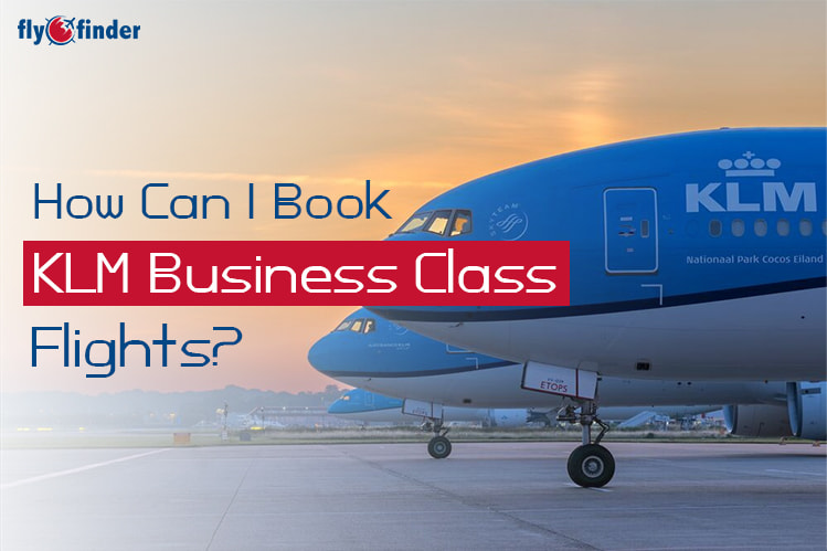 How Can I Book KLM Business Class Flights? Image