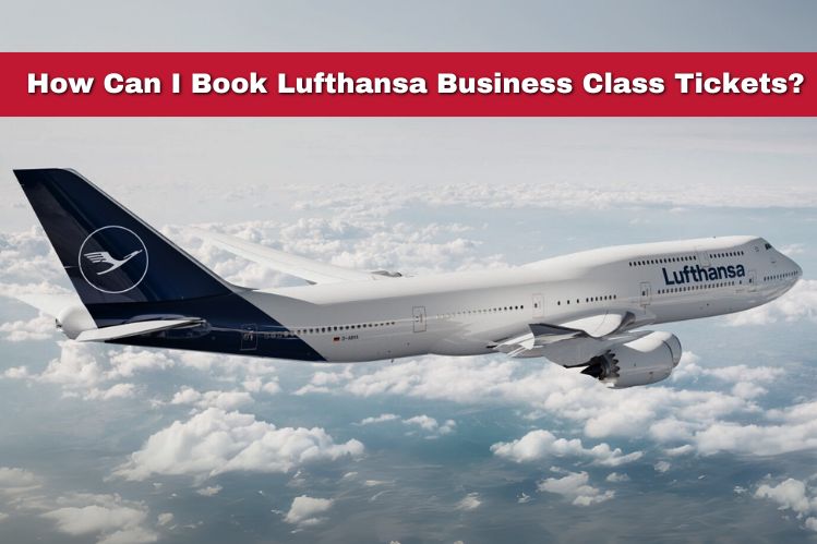 How Can I Book Lufthansa Business Class Tickets? Image