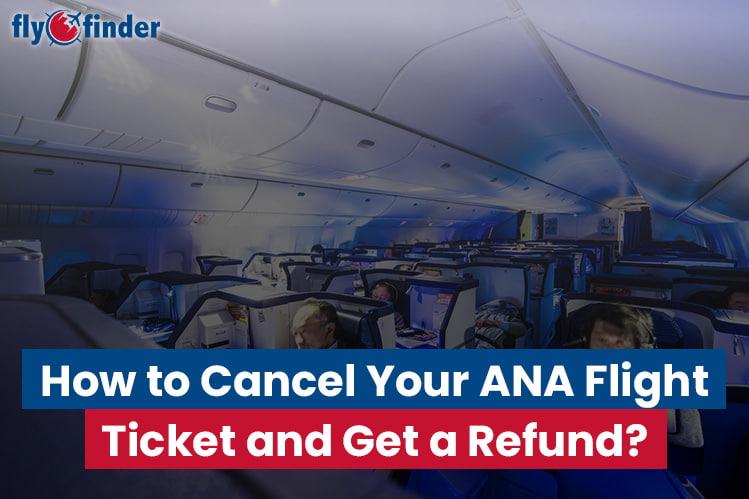 How to Cancel Your ANA Flight Ticket and Get a Refund? Image