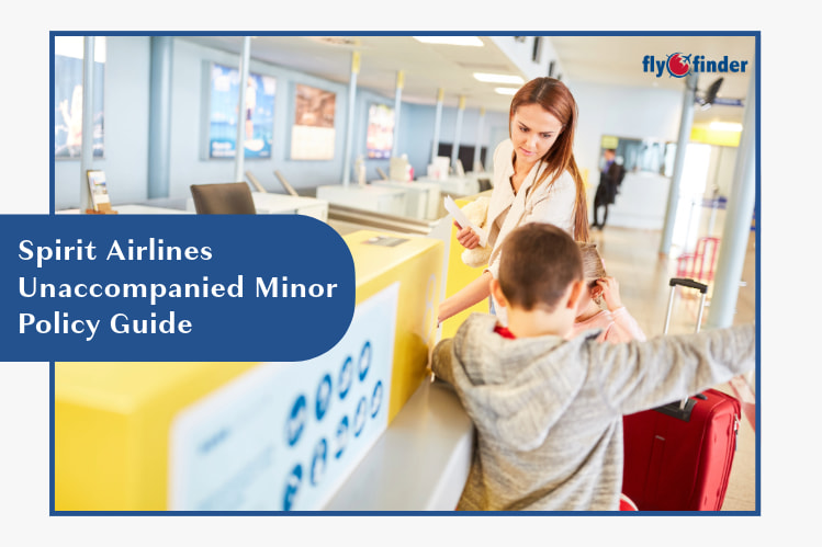 Spirit Airlines Unaccompanied Minor Policy Guide Image