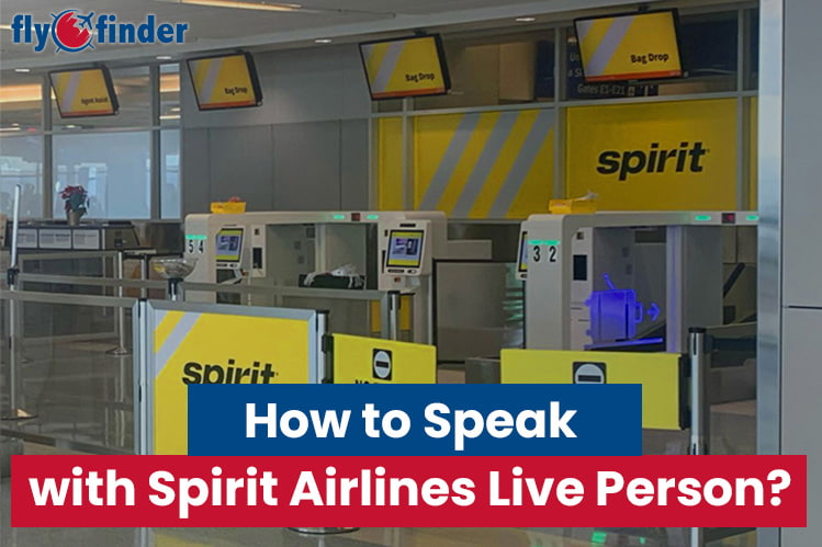 How to Speak with Spirit Airlines Live Person? Spirit Live Agents Image