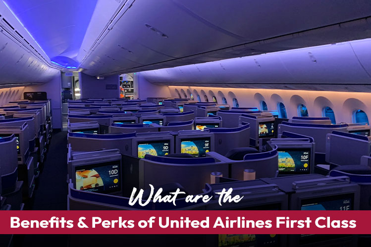 What are the Benefits & Perks of United Airlines First class? Image